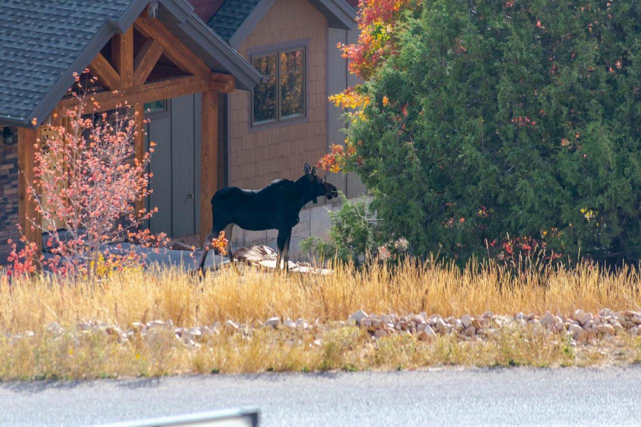 Bear Country Cabin #2 Hotel Saint Charles Eksteriør billede